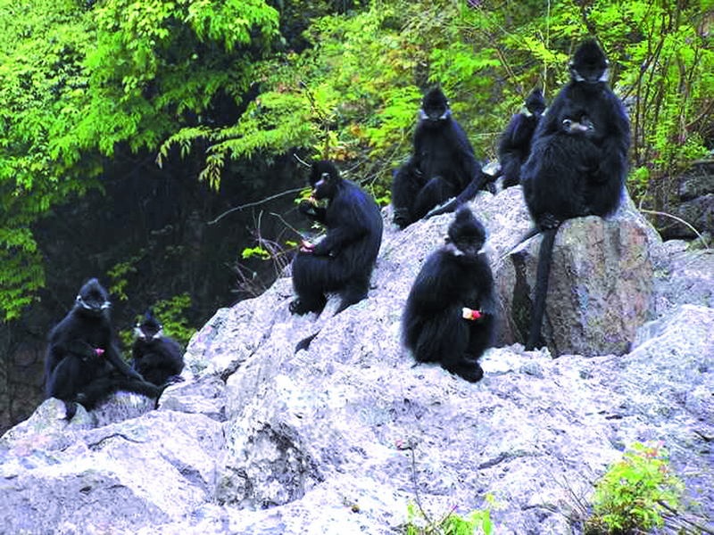 銅仁最美的10大景區(qū)：除了梵凈山之外，還有哪里值得一去？